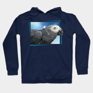 Gray parrot Hoodie